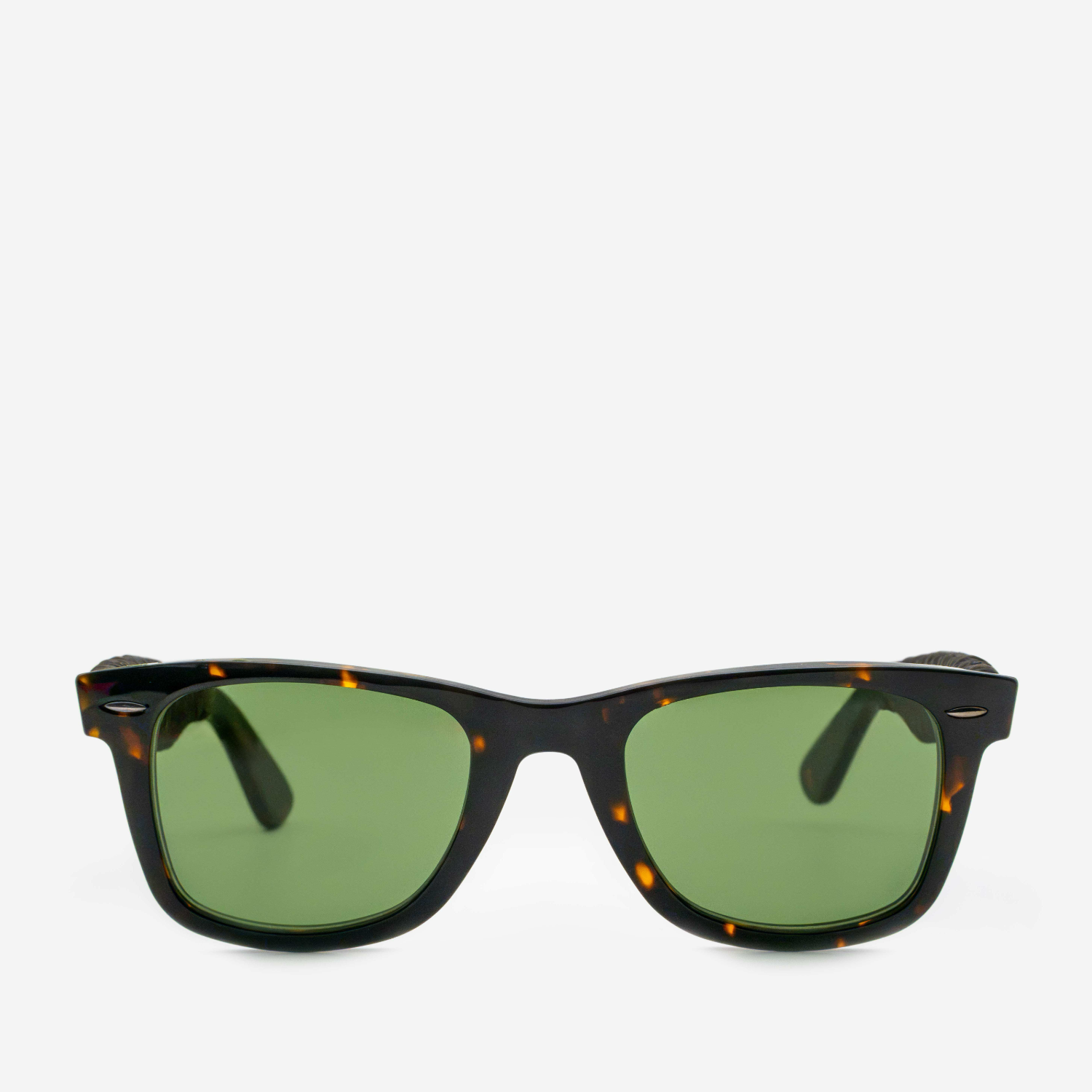 Roy Tortoise